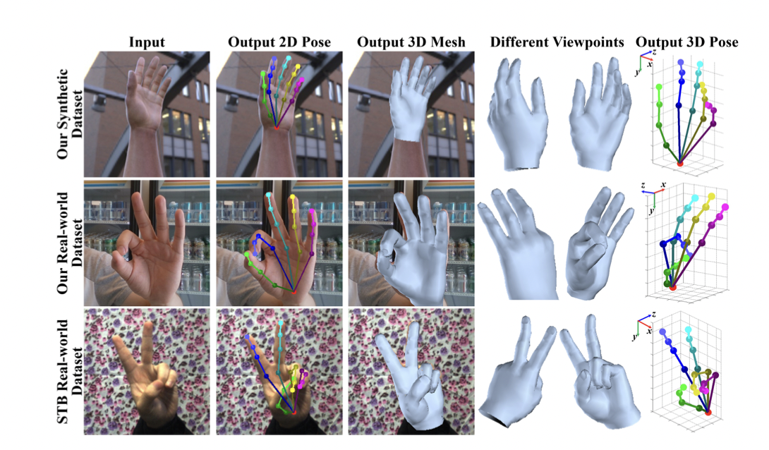 3D Imaging Geometric Morphometrics